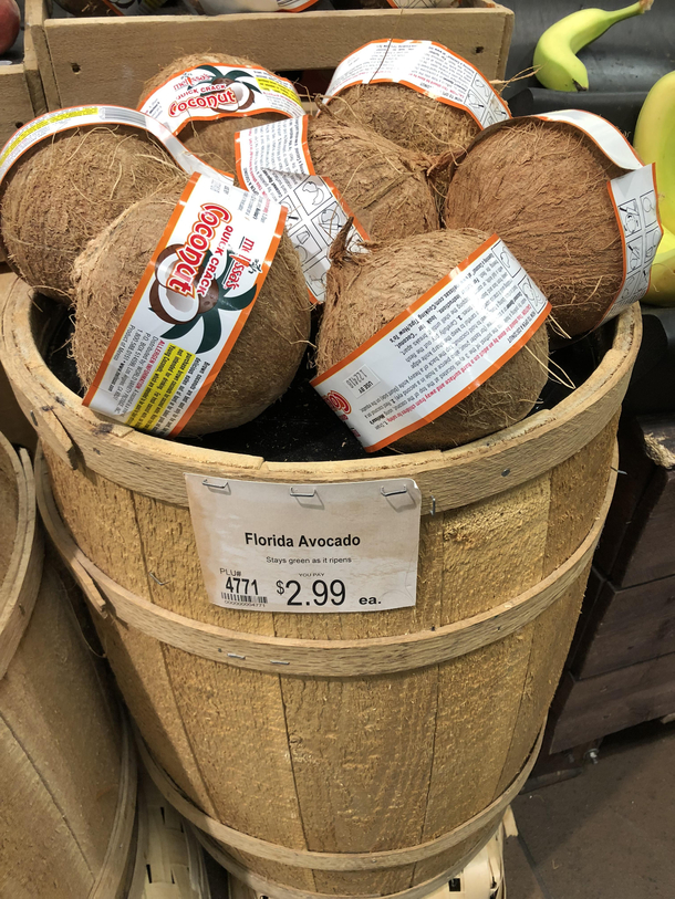 These Florida Avocados are nuts