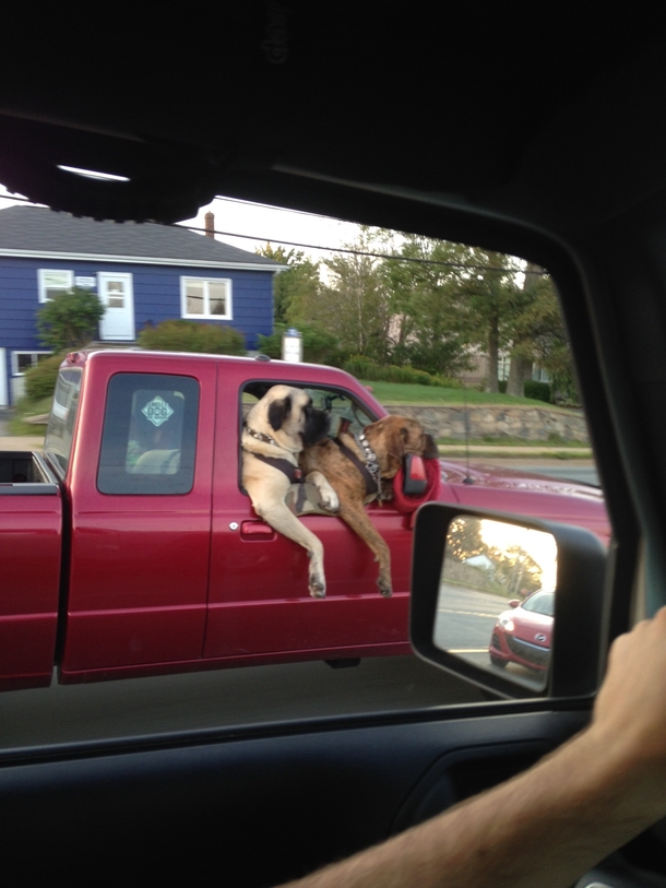 These guys drove by me yesterday had to do a double take