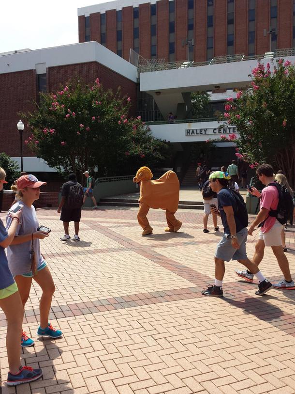 These guys were on campus shouting Hump Day