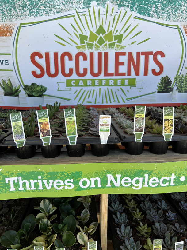 These plants need therapy