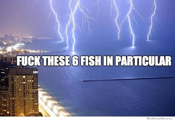 These six fuckers