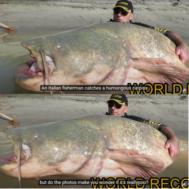 These youtube subtitles are almost too good to be true