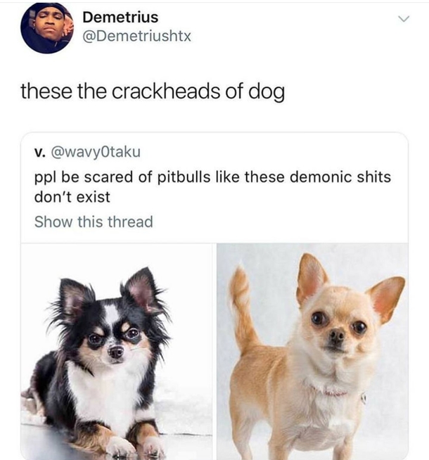 They always be twitching or up to something