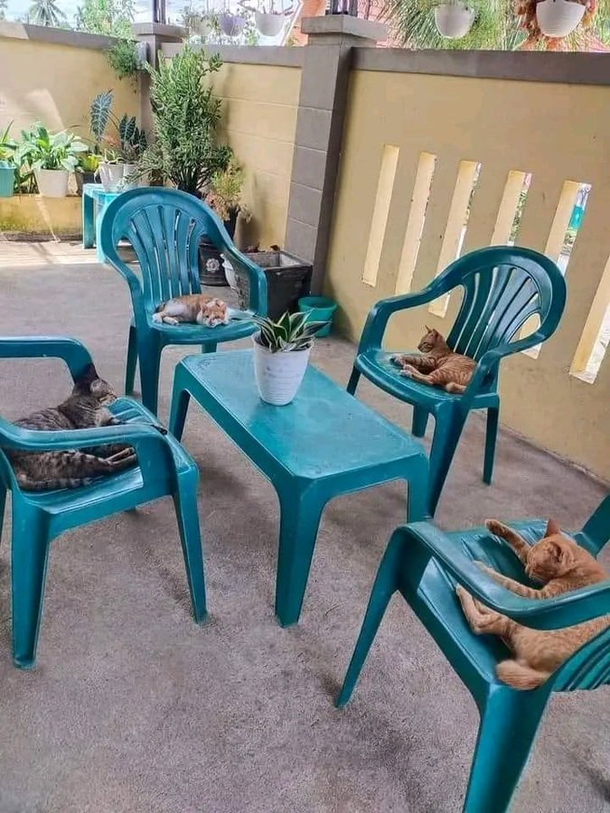 They are going to play a game