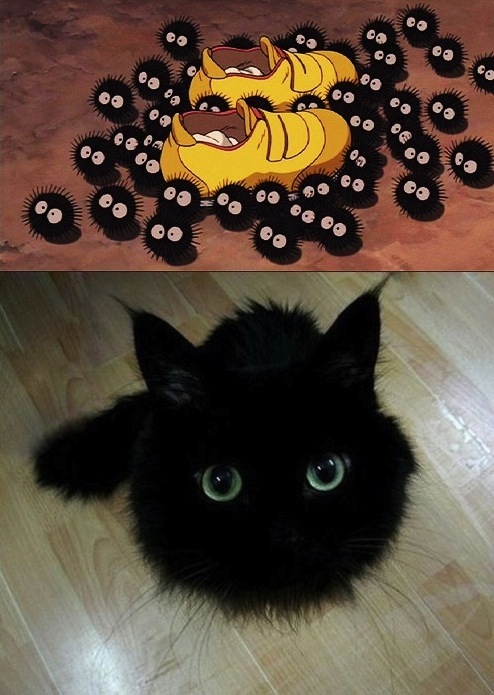 They are real
