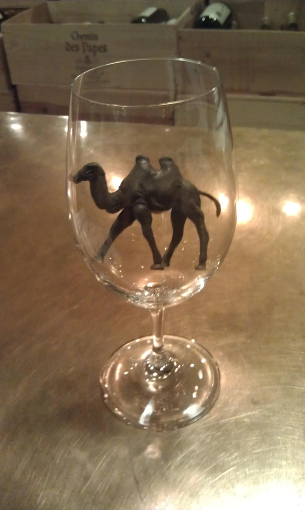 They asked me for a glass of the driest thing I had
