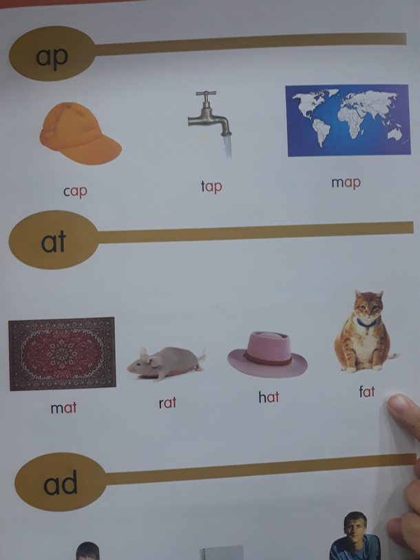 They call it fat not cat oh no