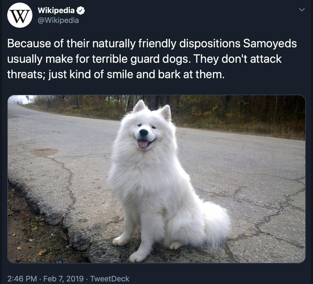 They could distract em at least