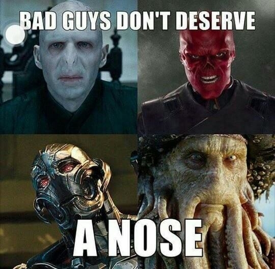 They dont have a nose