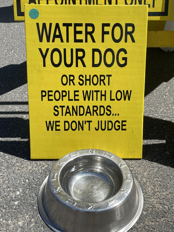 They dont judge