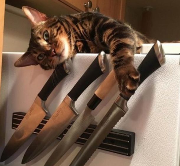 They found the knives