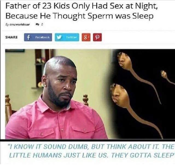 They gotta sleep just like us
