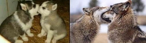 They grow up so fast