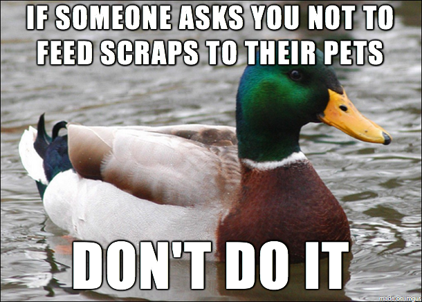 They know their pets better than you do