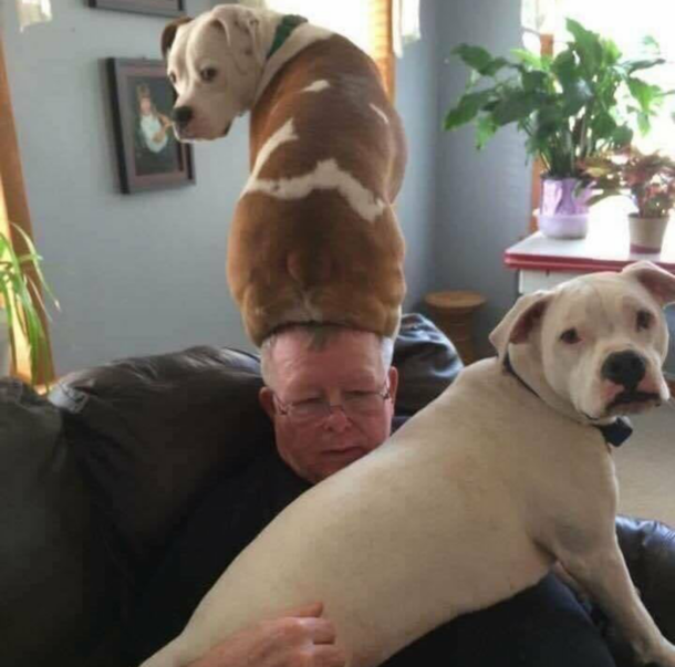 They only eat and seat