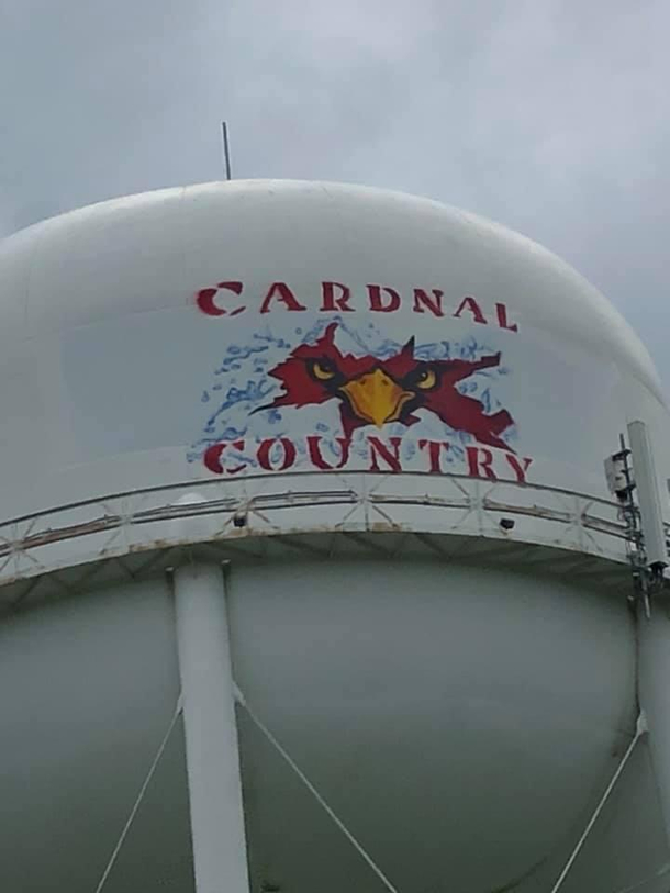 They painted the old water tower in my hometown