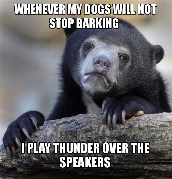 They run into their crates and stay quiet for at least  mins