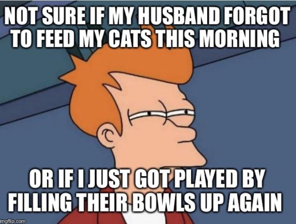 They scream if their bowl is empty regardless of if theyve been fed