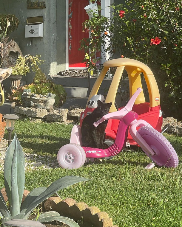 They see me rollin