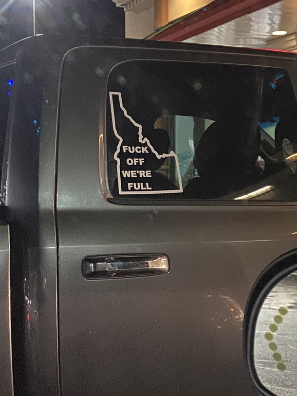 They seem nice Maybe Ill introduce myself