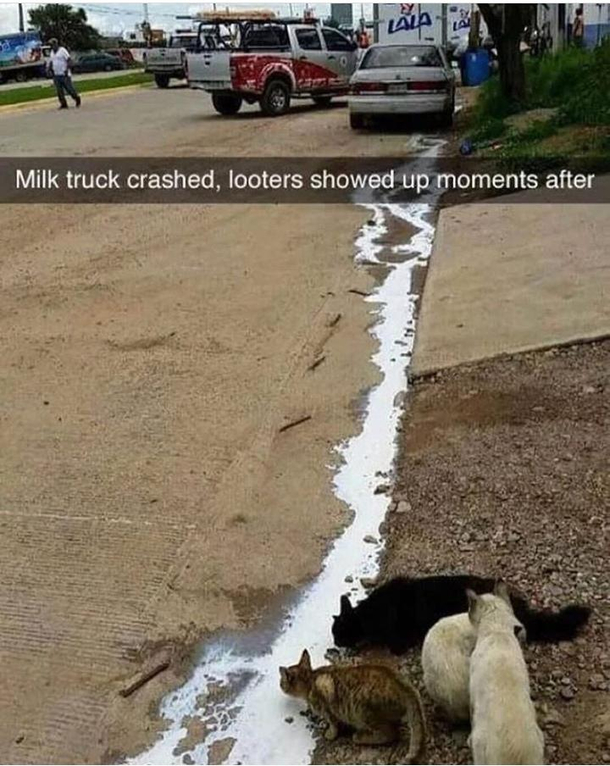 They should all be arrested at once
