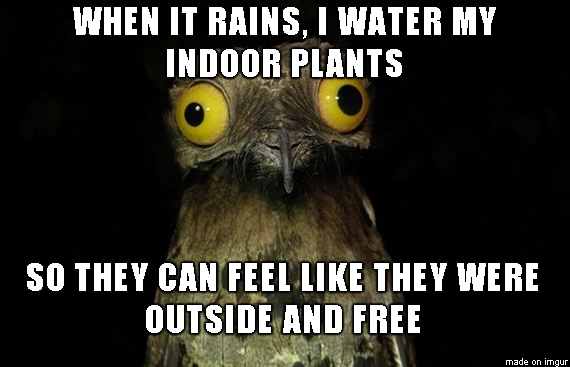 They should be happy too
