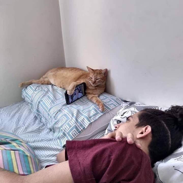 They think they can live in our houses for free