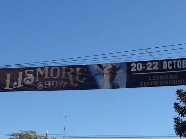 They used the goat sim picture