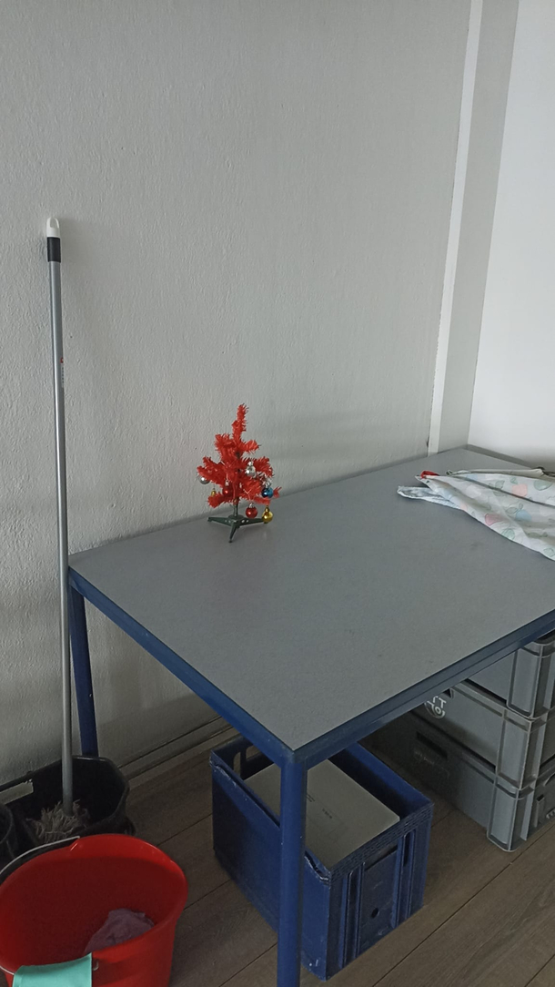 They went a bit overboard with the Christmas decorations at my husbands workplace