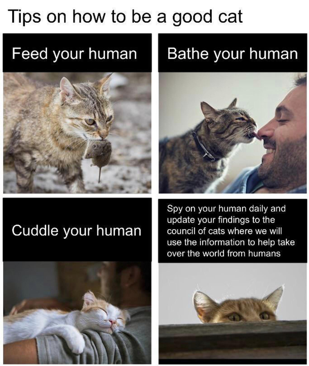 They work for the motherlands