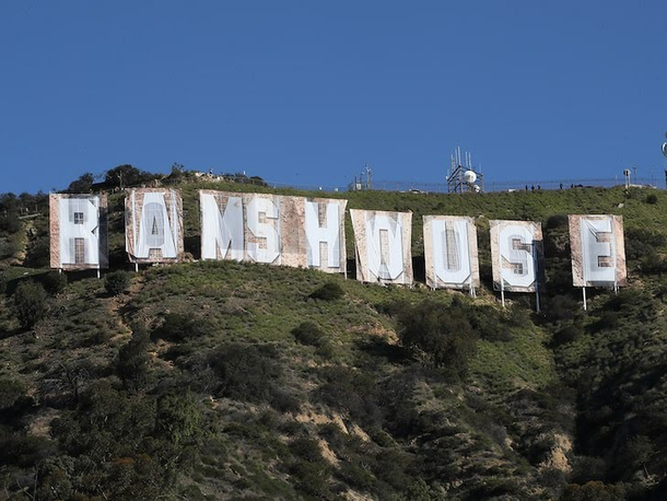 They would have been better off hiring the Hollyweed guy