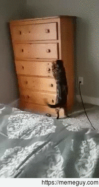 Theyll never find me in here