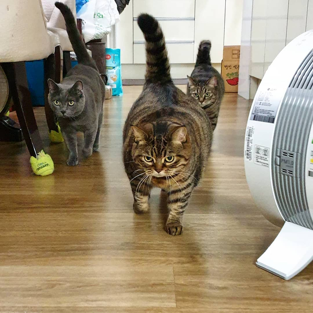 Theyre about to drop the hottest mixtape ever onto the floor by knocking it off a table