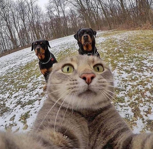 Theyre right behind me arent they