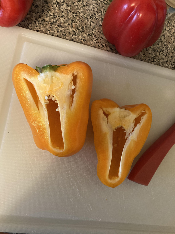 theyre screaming at me and now I cant eat