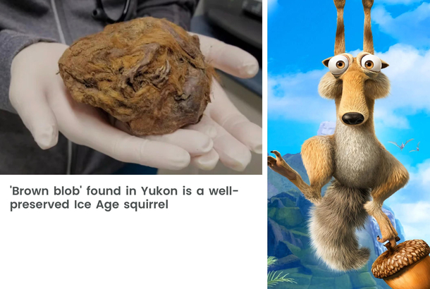 Theyve found Scrat