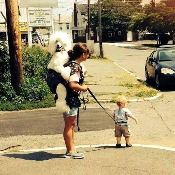 Things have gone wrong somewhere
