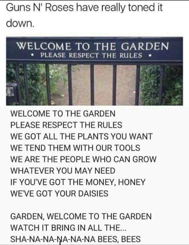 Things have really taken a turn for guns n roses