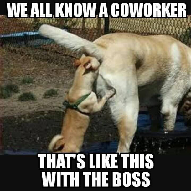 Things we do for appraisal