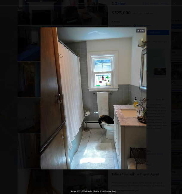 This actual real-estate photo for an active listing made my day