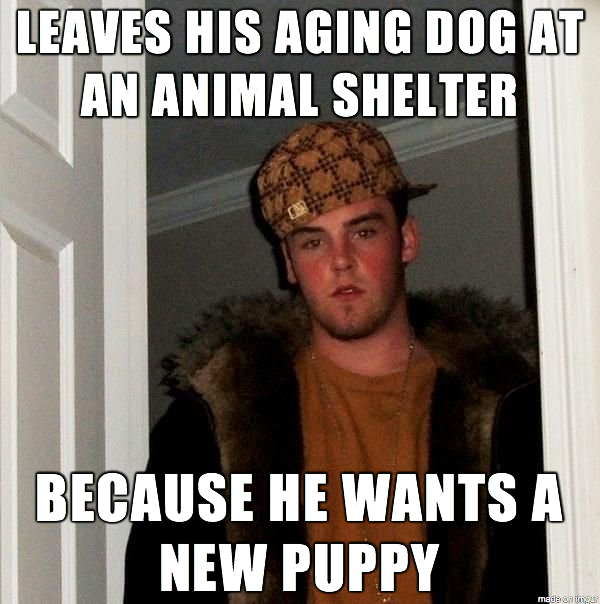 This actually happened at the LA County animal shelter in Lancaster CA