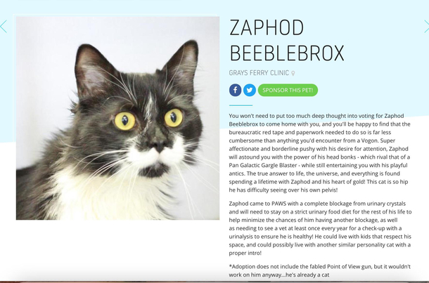 This adoption listing