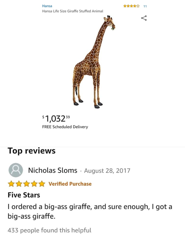 This Amazon Review