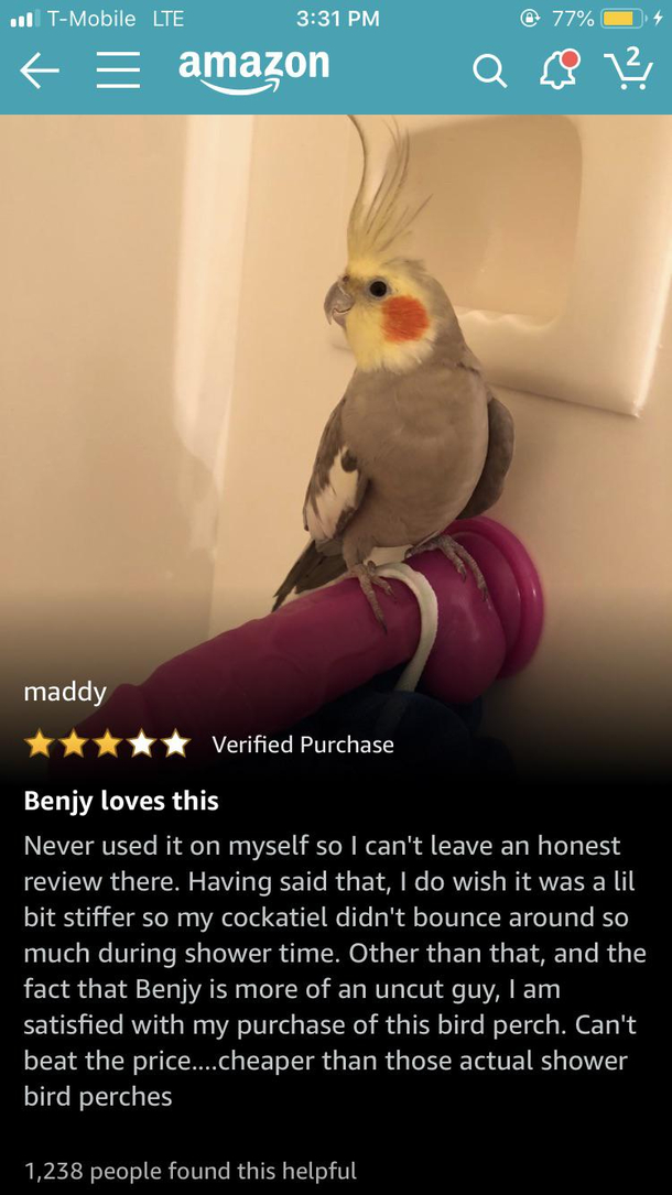 This amazon review