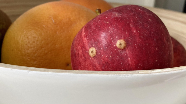 This apple has seen things 