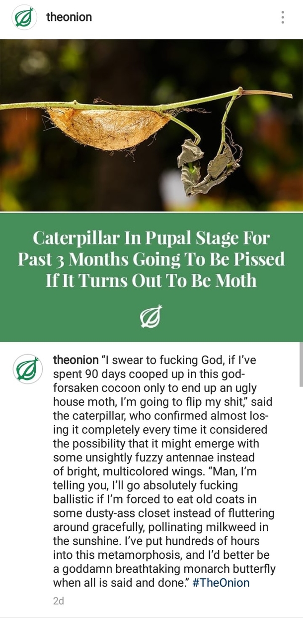 This article from the onion