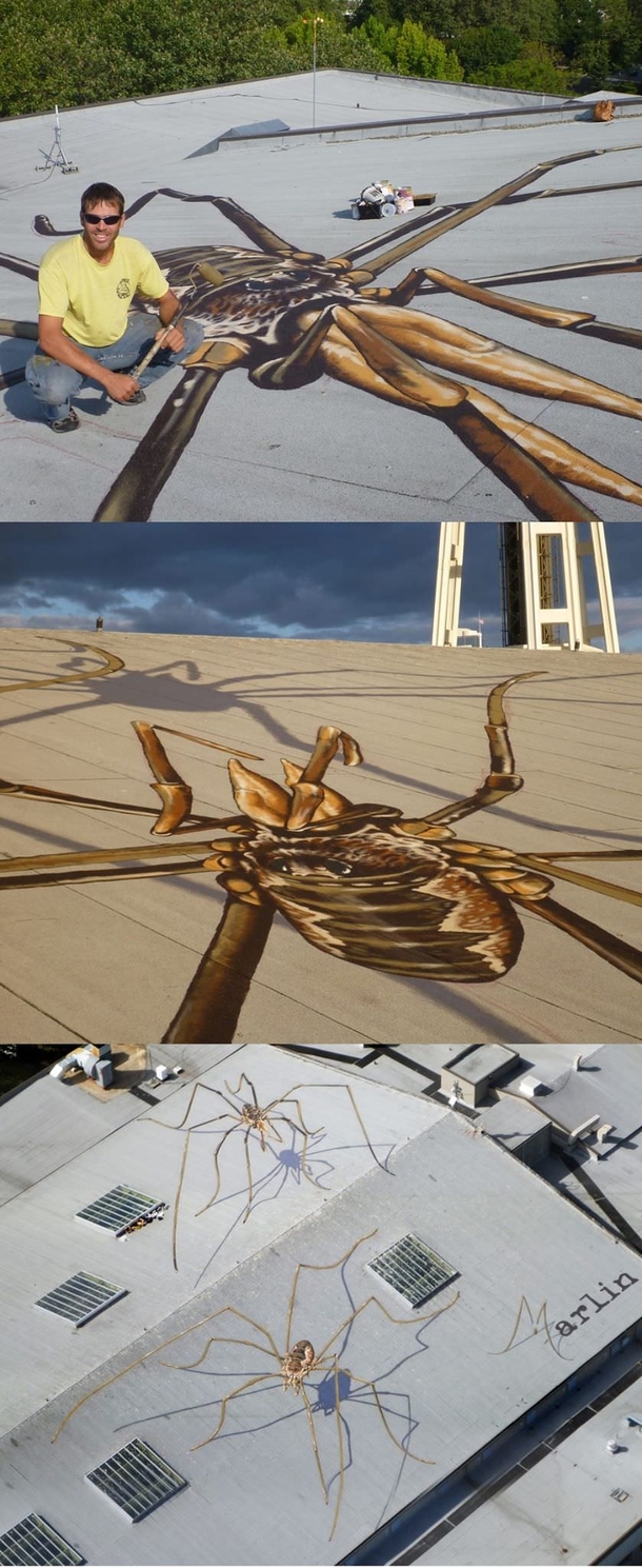 This artist is trolling planes