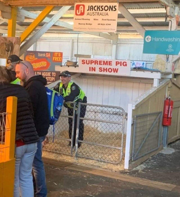 This at the Royal Adelaide Show in Australia