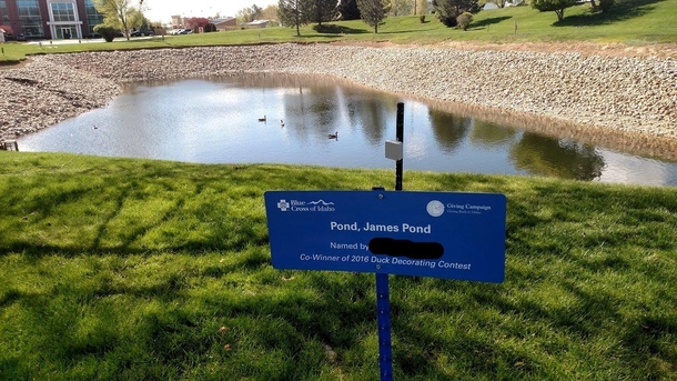 This awesome pond