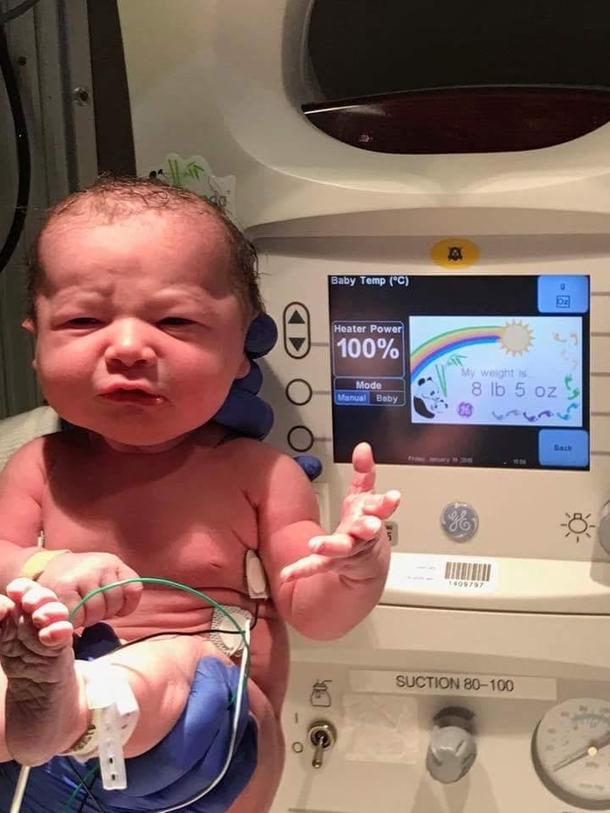 This baby came out of the womb already mad at the driver in front of her